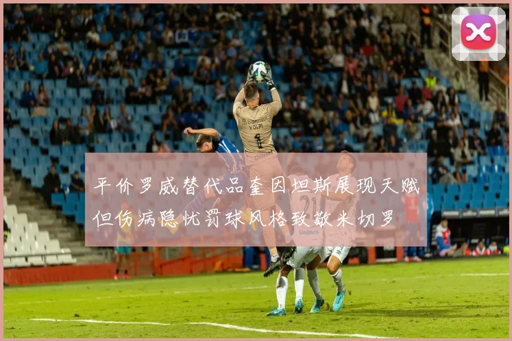 平价罗威替代品奎因坦斯展现天赋但伤病隐忧罚球风格致敬米切罗