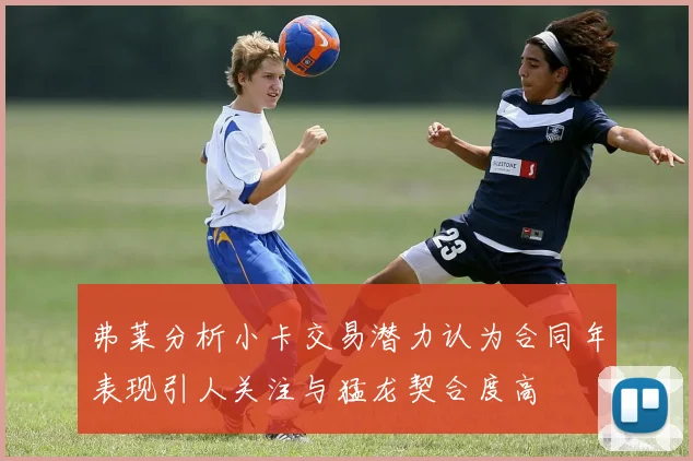 弗莱分析小卡交易潜力认为合同年表现引人关注与猛龙契合度高